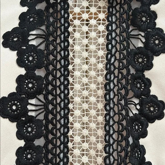 Self-Portrait Cream and Black Lace Dress - Picture 6 of 7